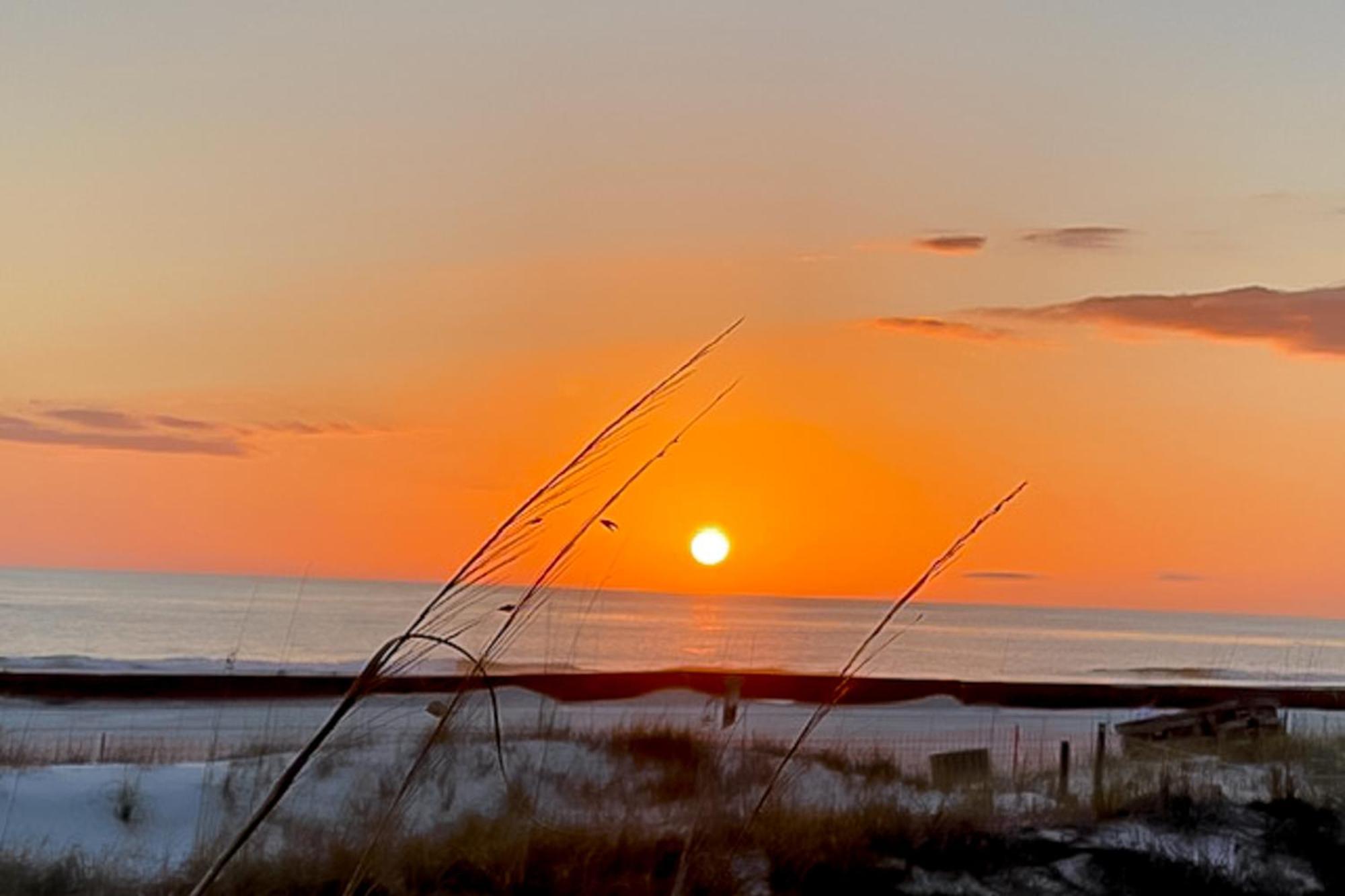Dunes Of Panama Condos Panama City Beach Chambre photo